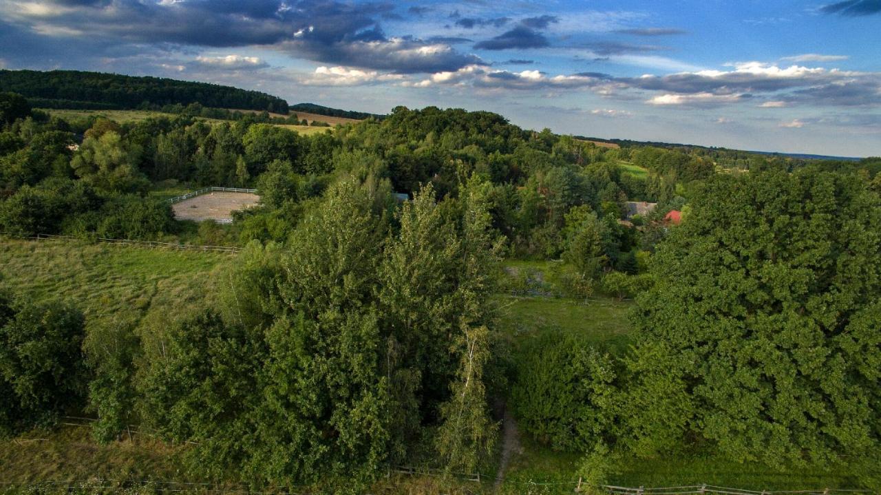 Вилла Ekoturystyka Nowina Nowina  Экстерьер фото